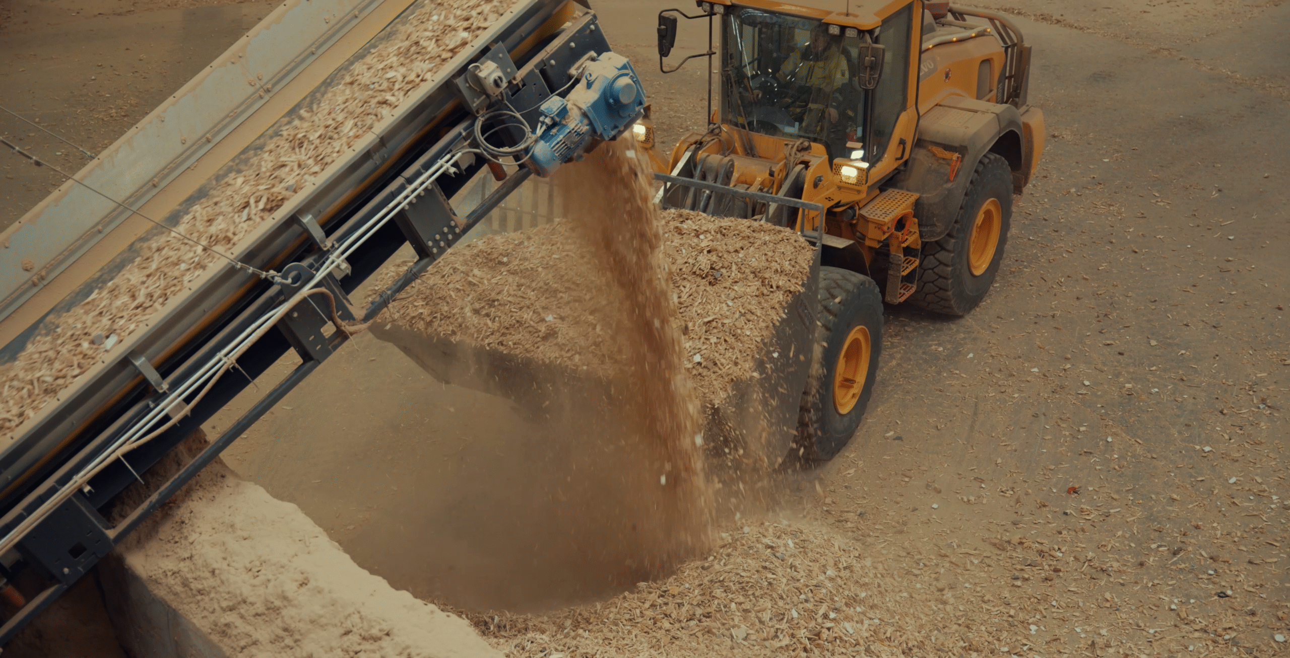 P63 wood chips